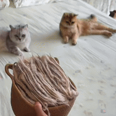 FurSweep™ Gloves "Pet Hair Remover"